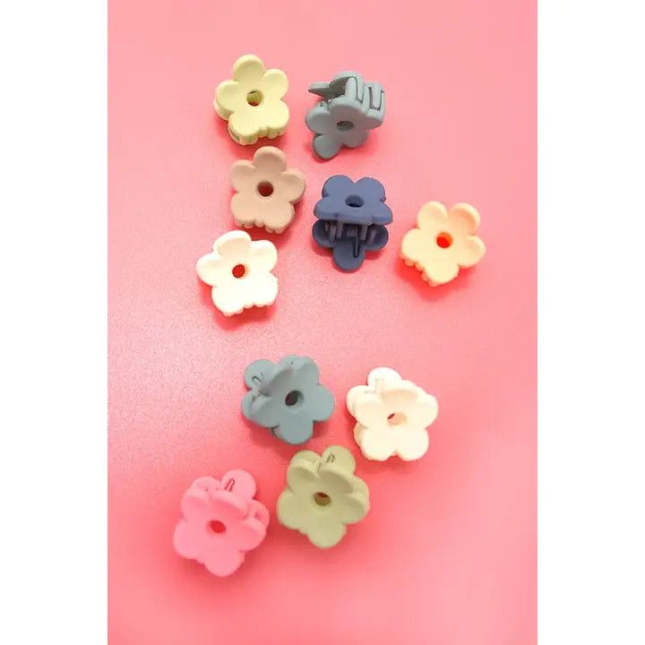 Mini Pack of 10 Flower Clips in A Case