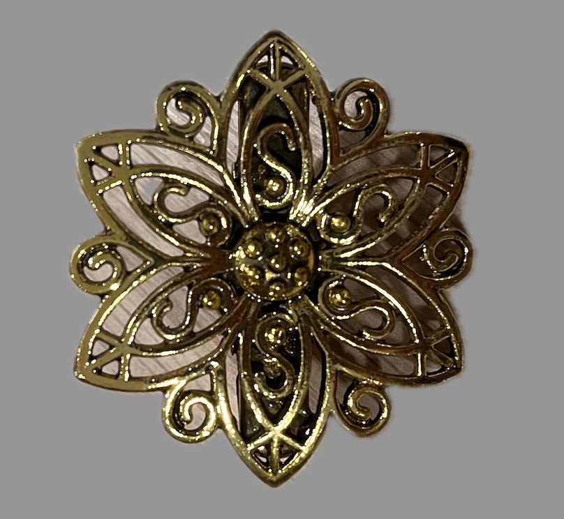 Vestclip ster goud of zilver