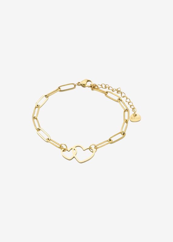 Schakelarmband dubbel hart