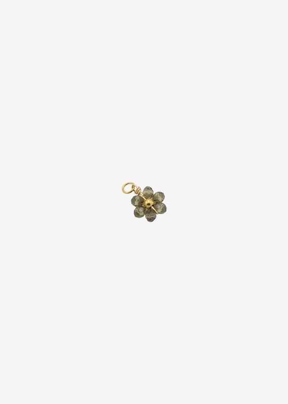 Bedel bloem bruin