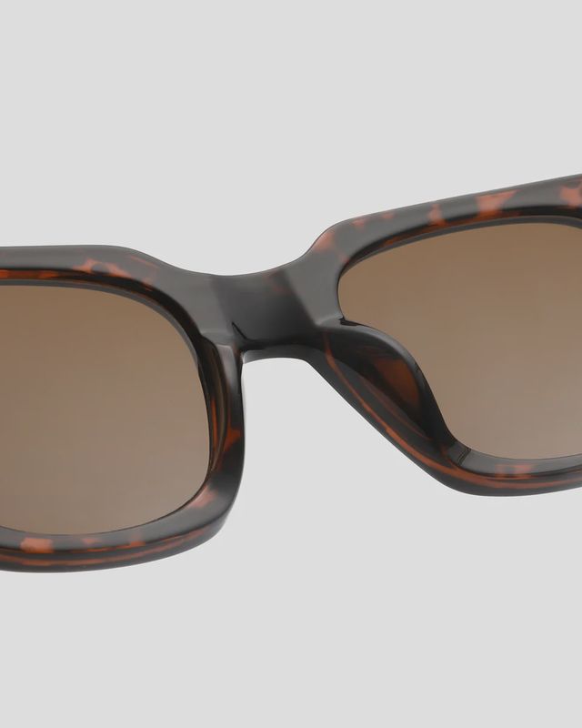 Nancy Demi Tortoise