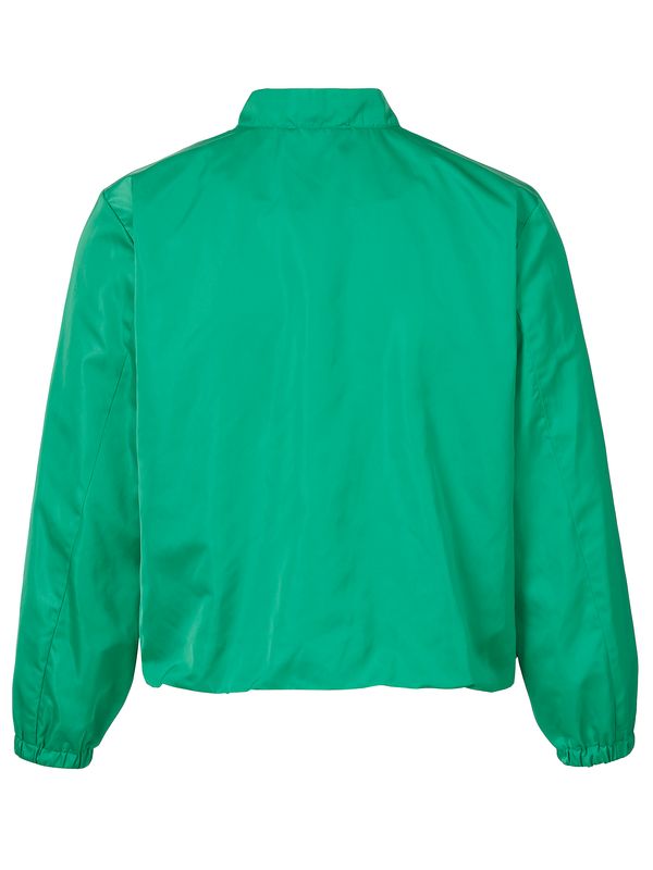Bomberjack green leaf 2654942