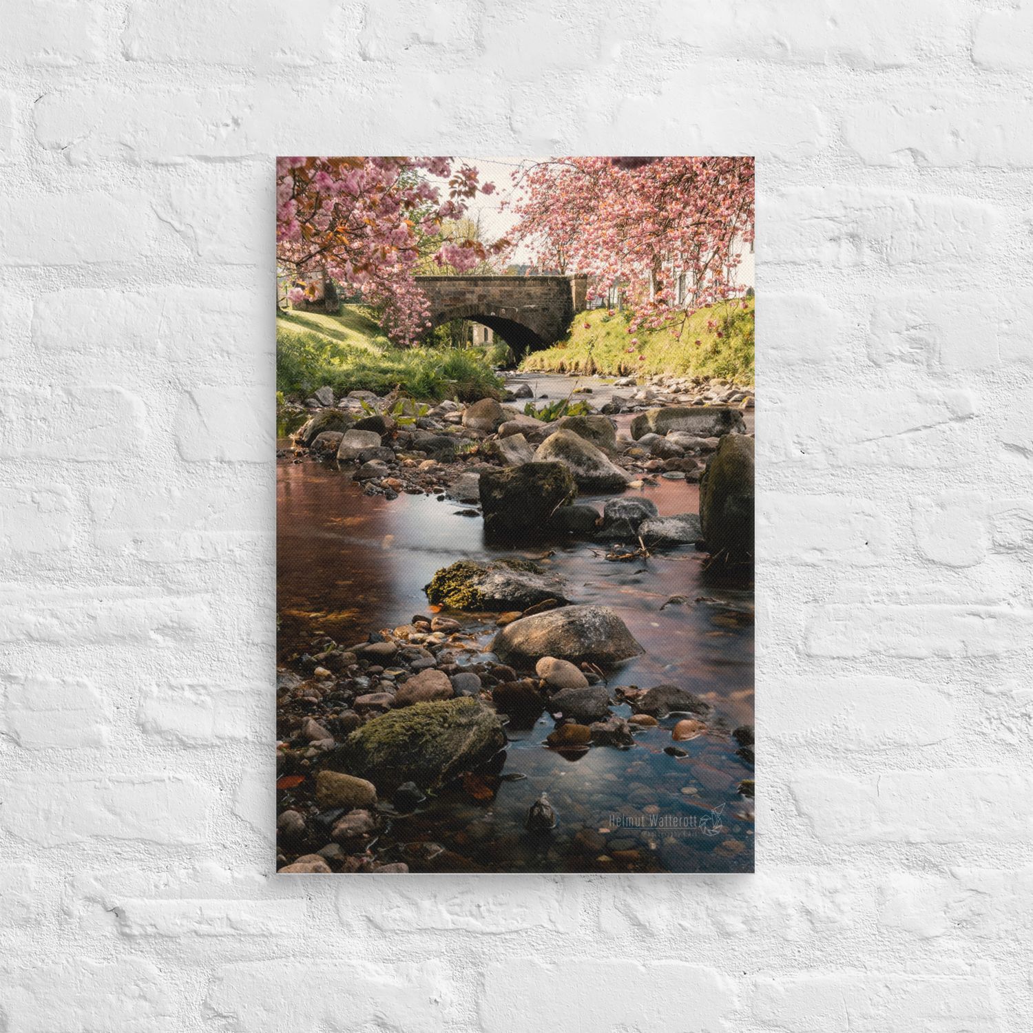 Dollar Glen long exposure with Cherry Blossoms on Canvas