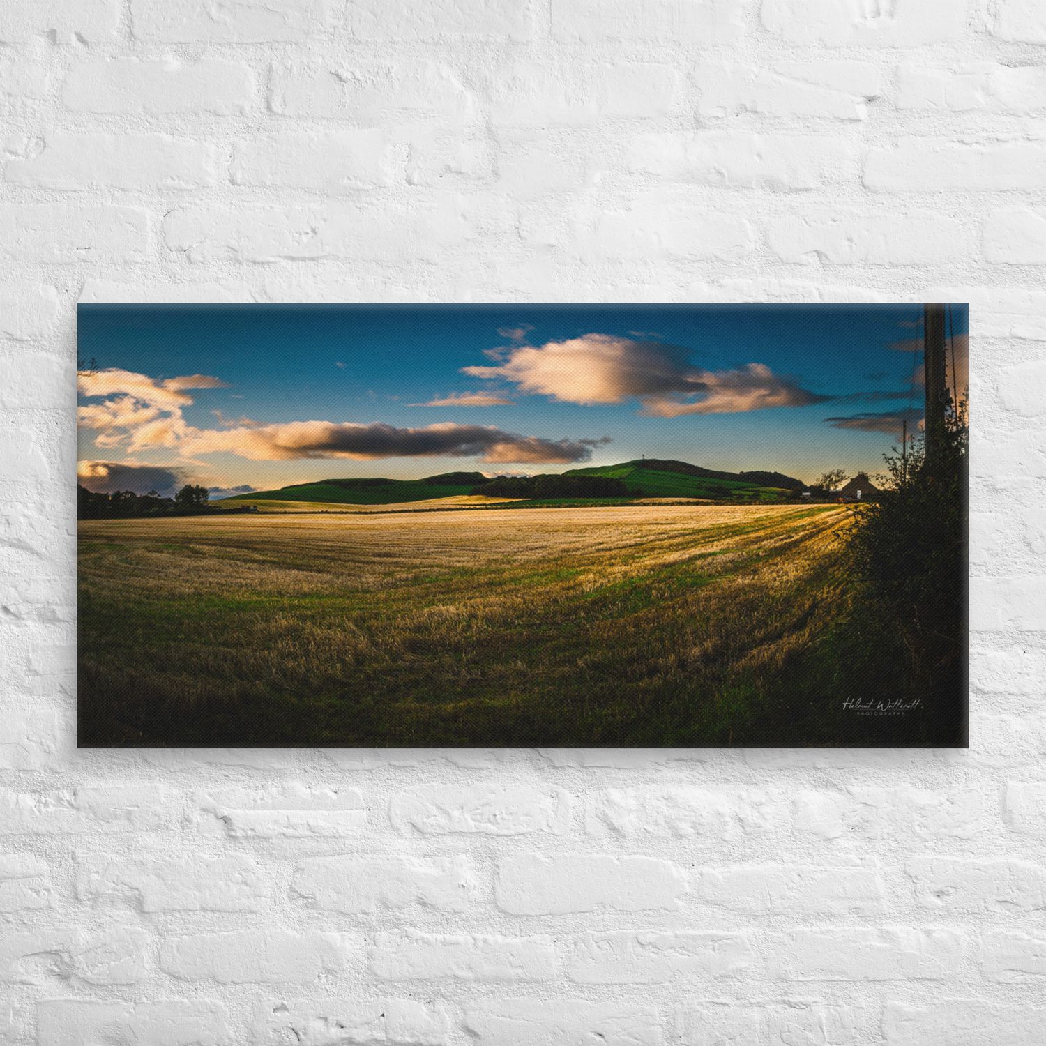 Golden sunset photo of a Scottish farmland