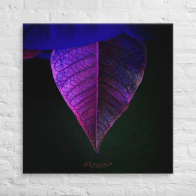 Blue and Purple Leaf Canvas Print
