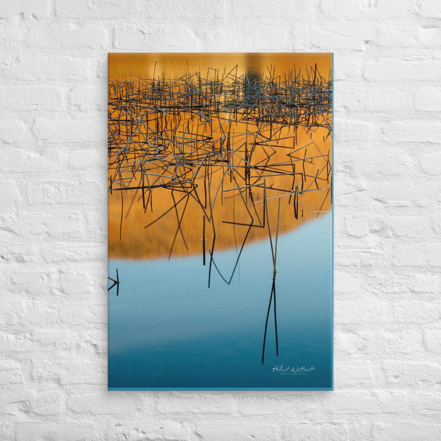Dry reeds in water with blue and orange reflections Canvas Print