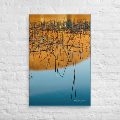 Dry reeds in water with blue and orange reflections Canvas Print