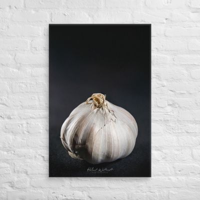 Garlic clove closeup focus stack Canvas Print