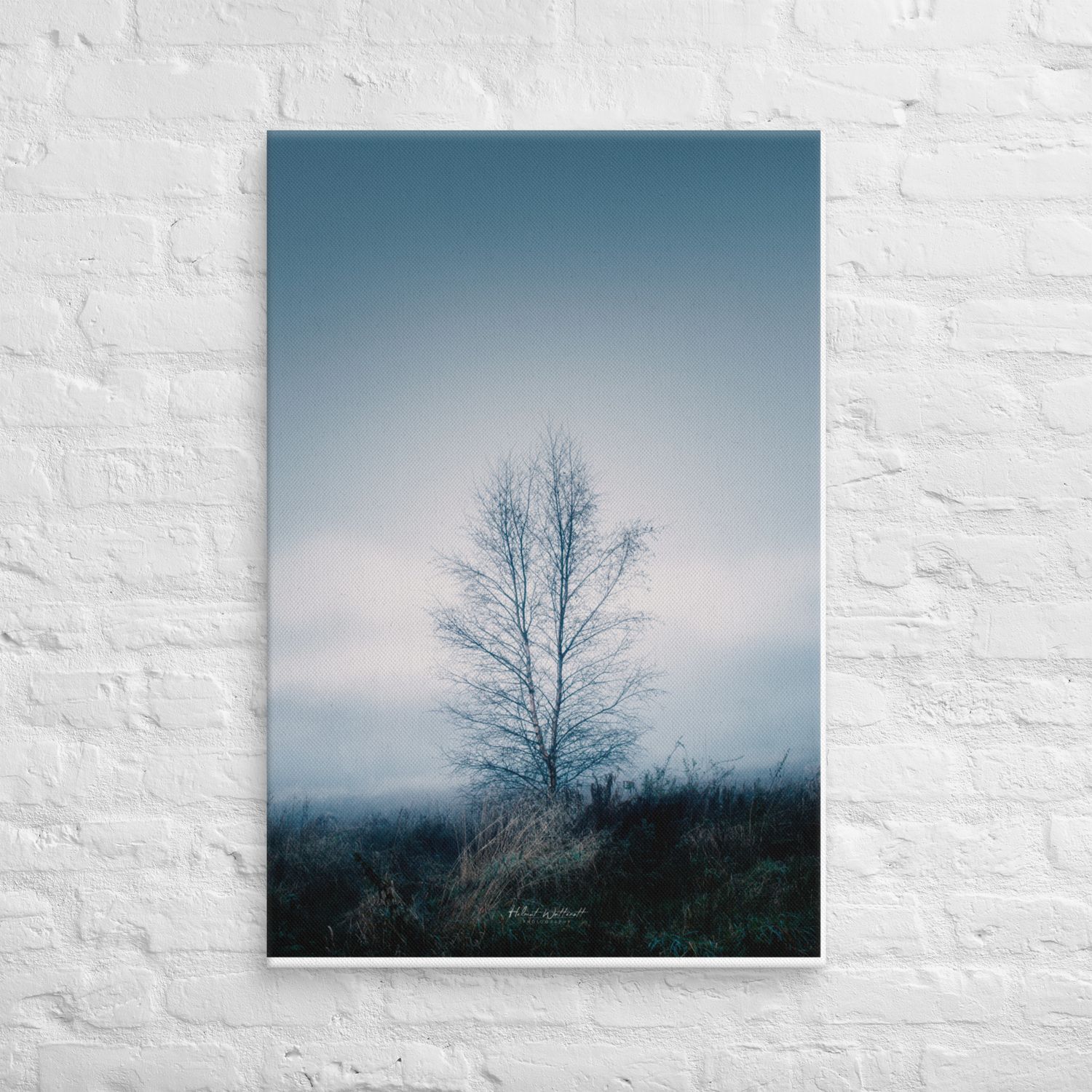 Lonely tree in wintery cold fog Canvas Print