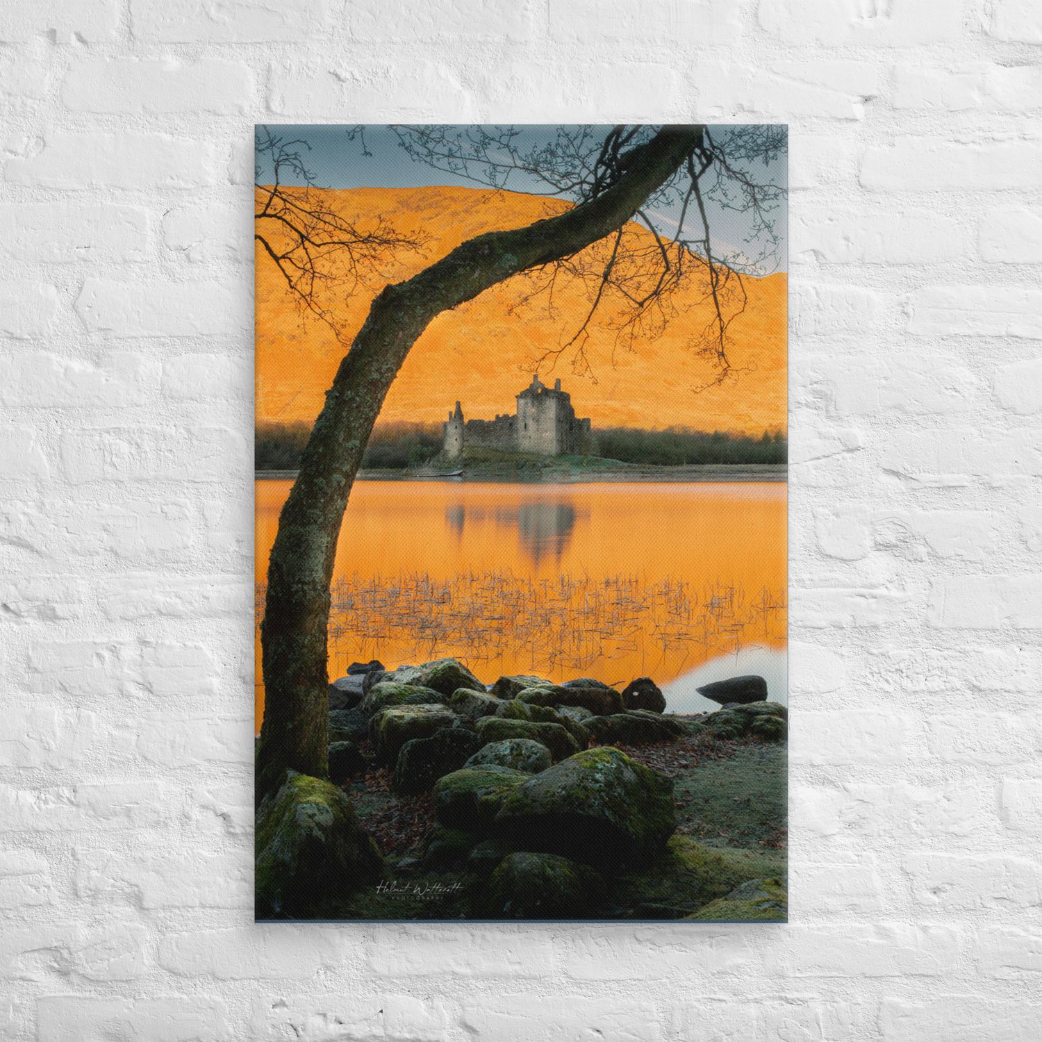 Kilchurn Castle on Loch Awe in sunlight with framing tree Canvas Print