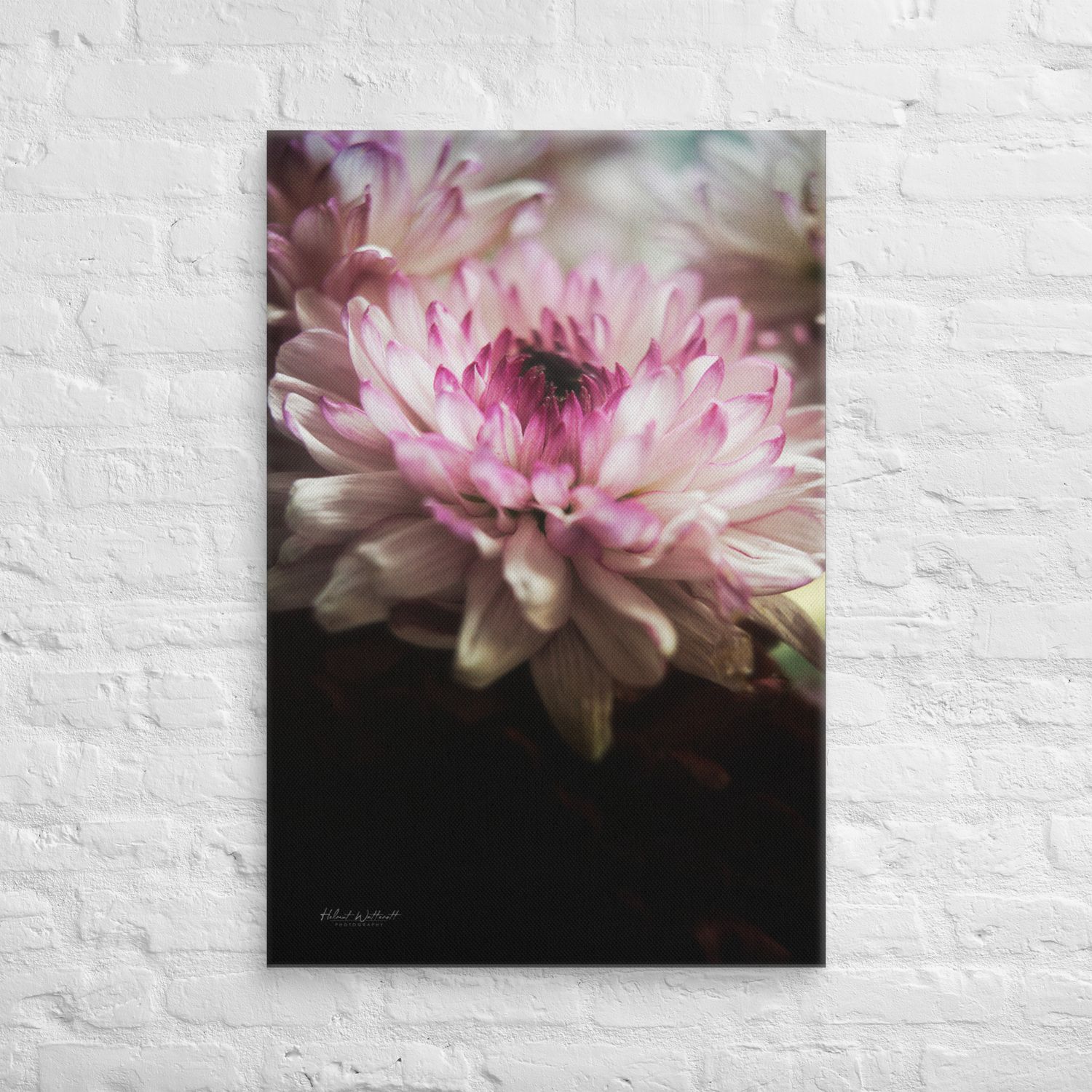 White and pink flower wall art Canvas print