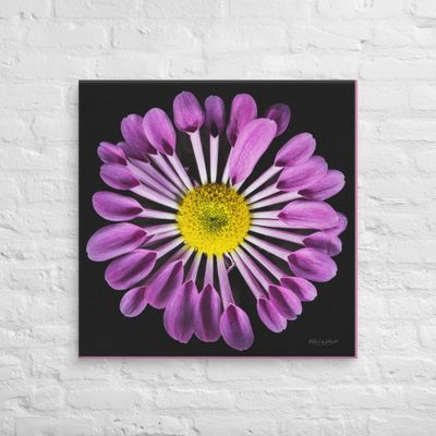 Spoon Chrysanthemum wall art Canvas Print