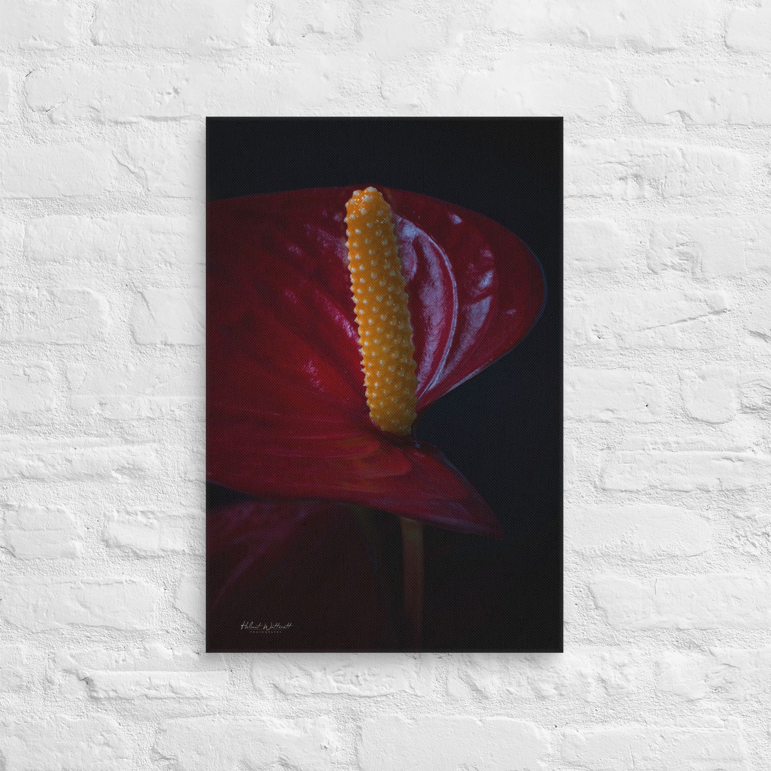 Anthirium Red Peace Lily flower wall art Canvas Print landscape