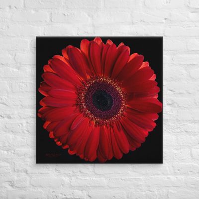 Red Gerbera Daisy flower wall art Canvas Print