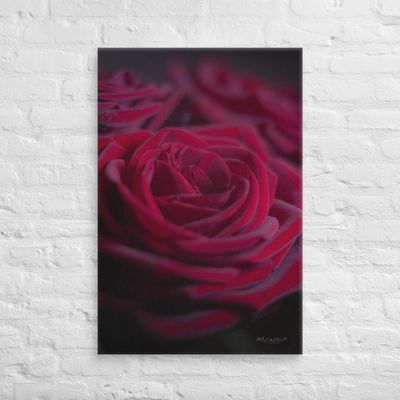 Moody Rose wall art Canvas Print