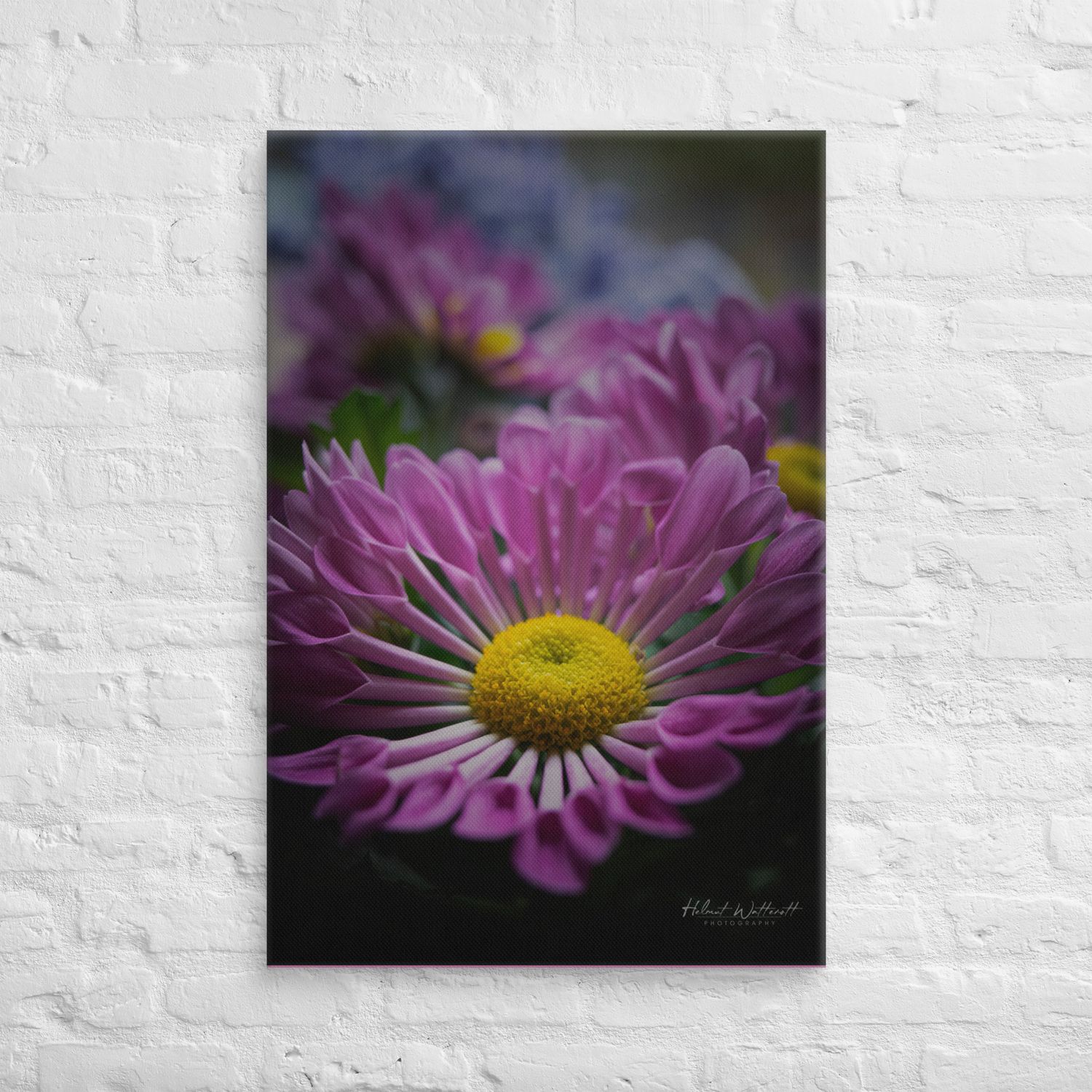Spoon Chrysanthemums on wall art Canvas Print