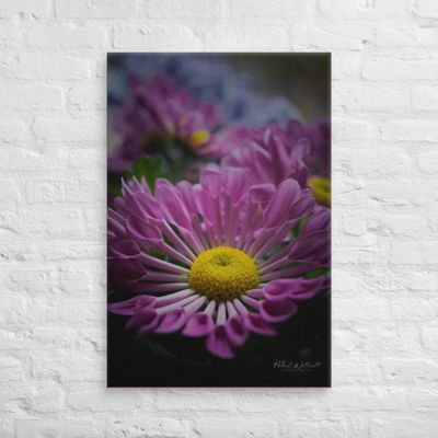Spoon Chrysanthemums on wall art Canvas Print