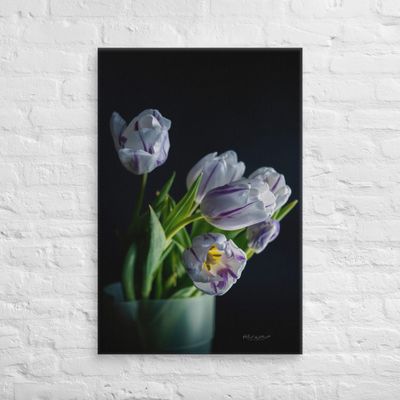 Purple and white Tulips in vase wall art Canvas Print