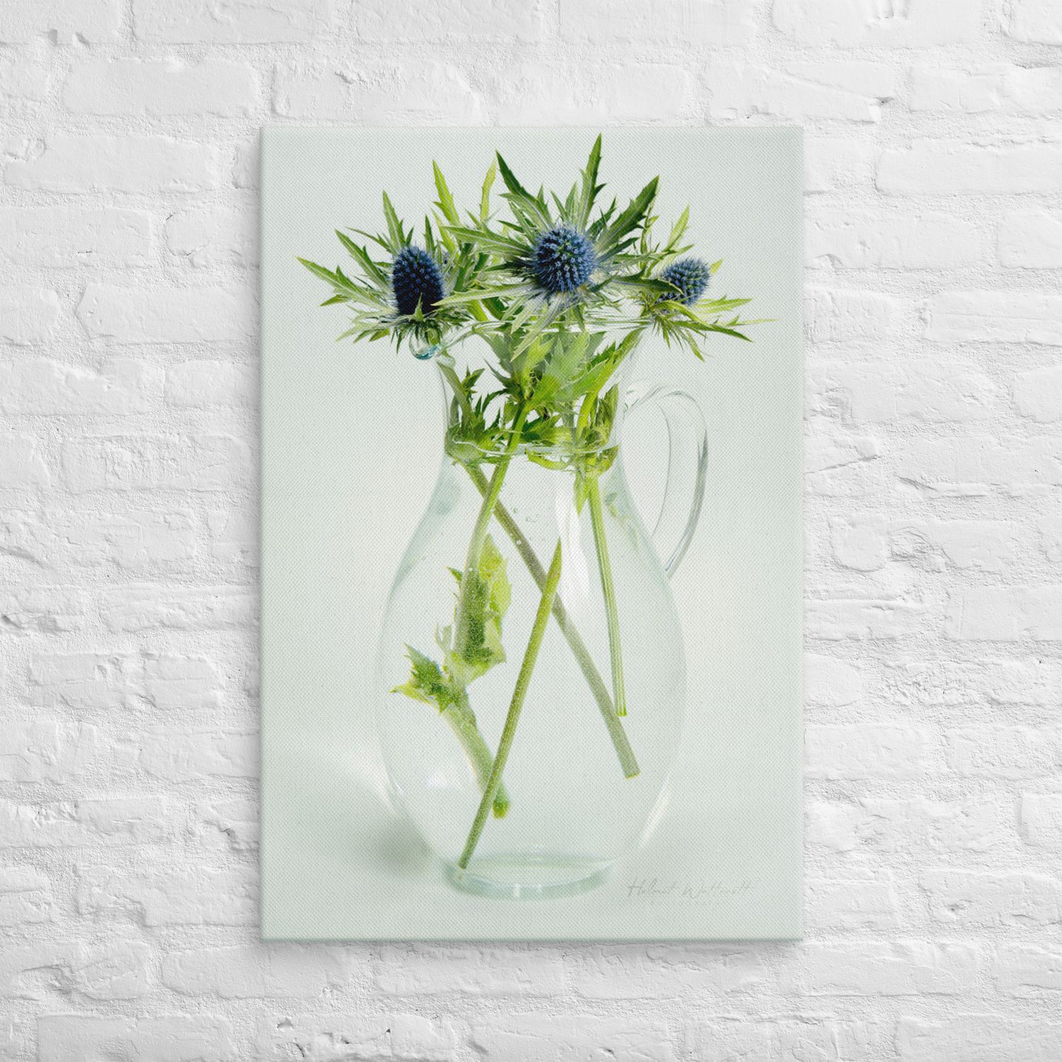 Eryngium Sea Holly in vase wall art Canvas Print