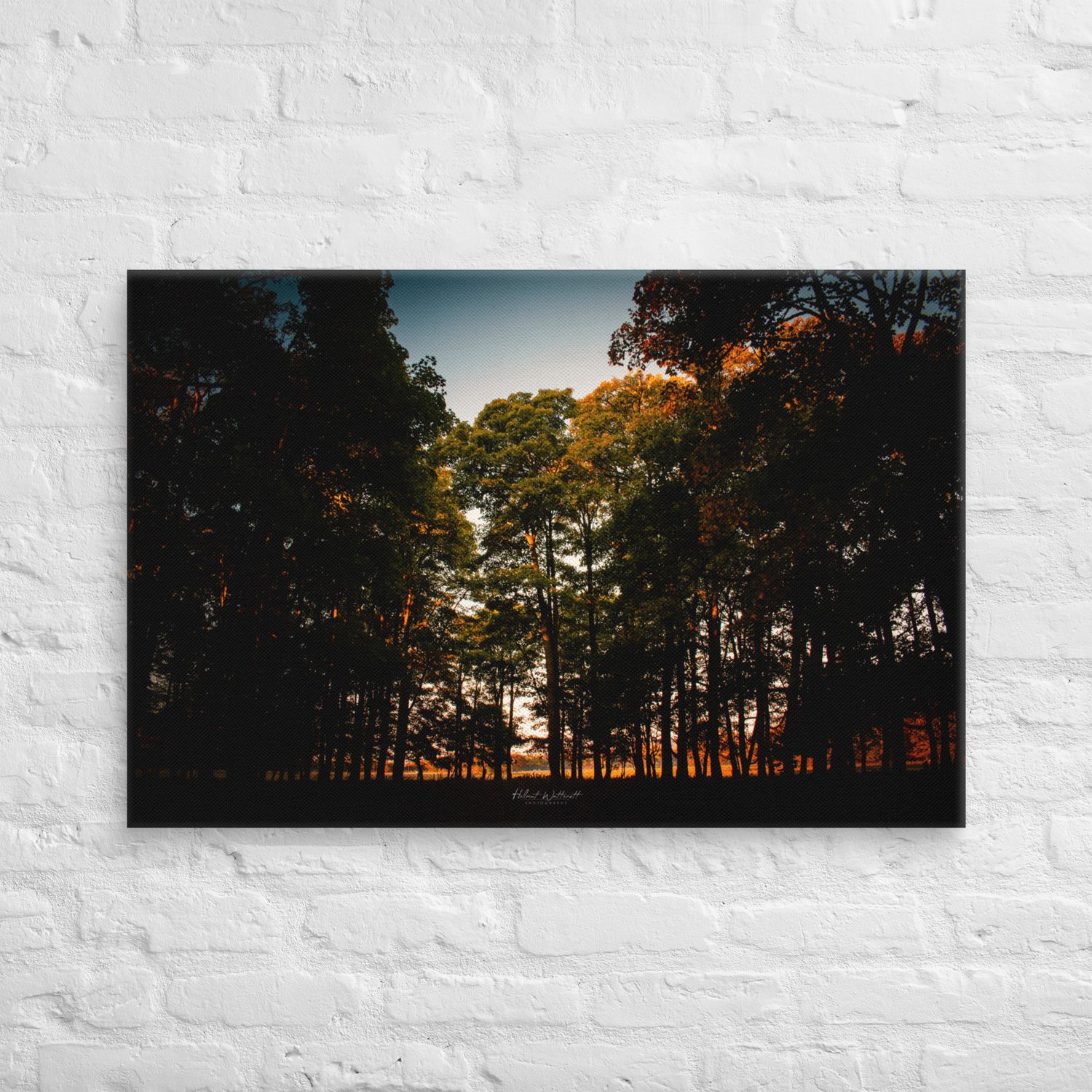 Autumn colours golden fields and leaves wall art Canvas Print