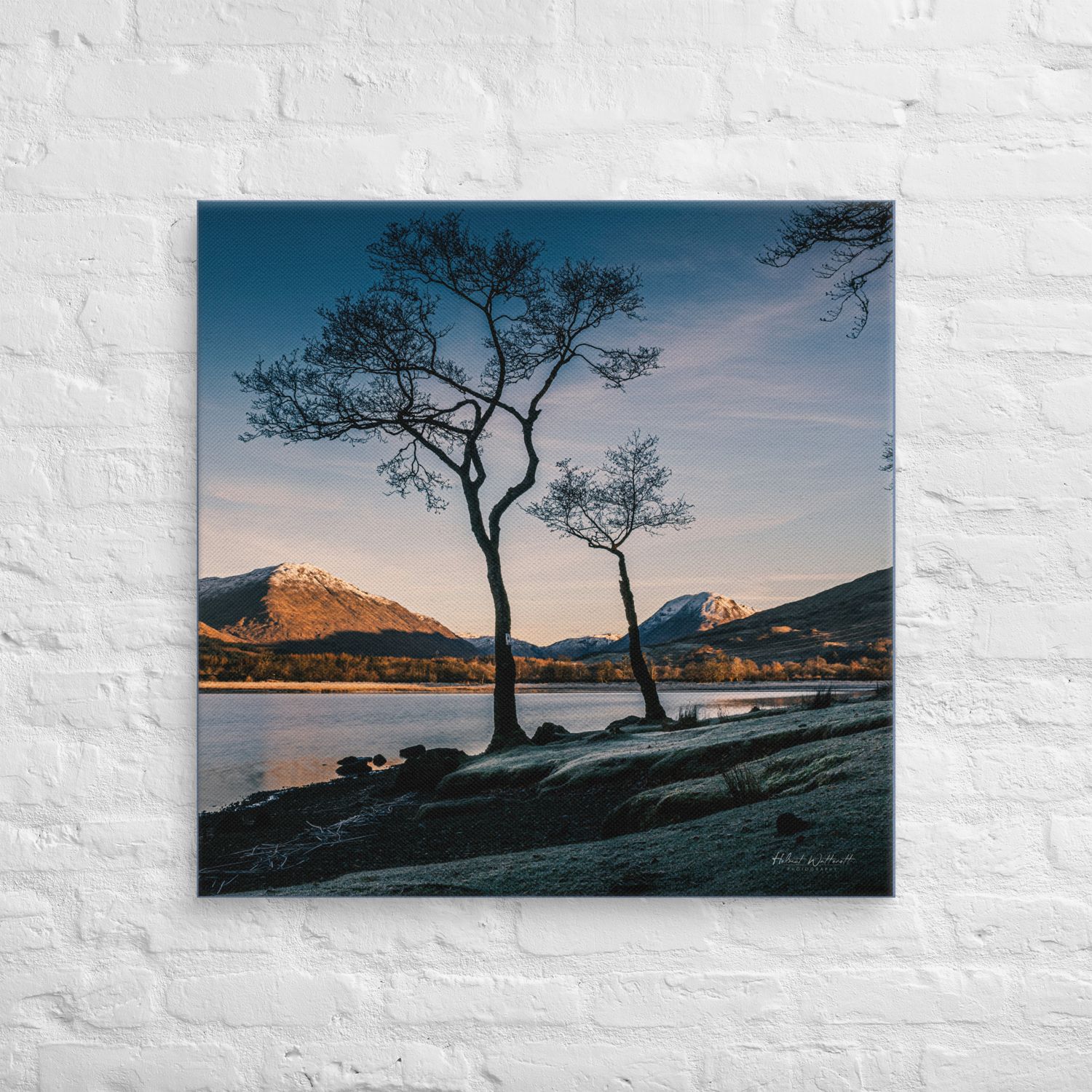 Trees water and snow capped hills at Loch Awe, Scotland, wall art Canvas Print