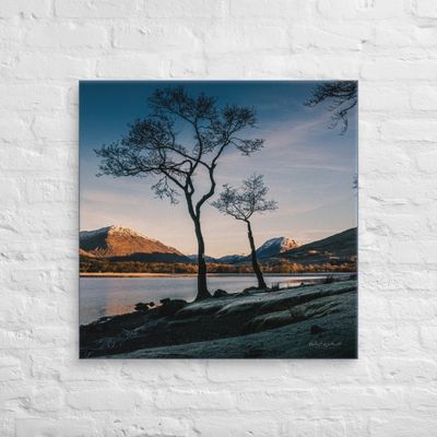 Trees water and snow capped hills at Loch Awe, Scotland, wall art Canvas Print