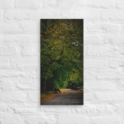 Man waiting under a tree in autumn colours wall art Canvas print