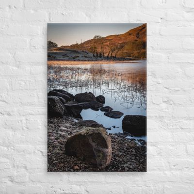 Reeds and Rocks at Loch Awe wall art Canvas Prints