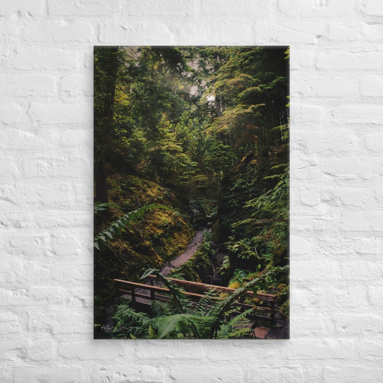 Pucks Glen Dunoon, Scotland, wall art Canvas Print