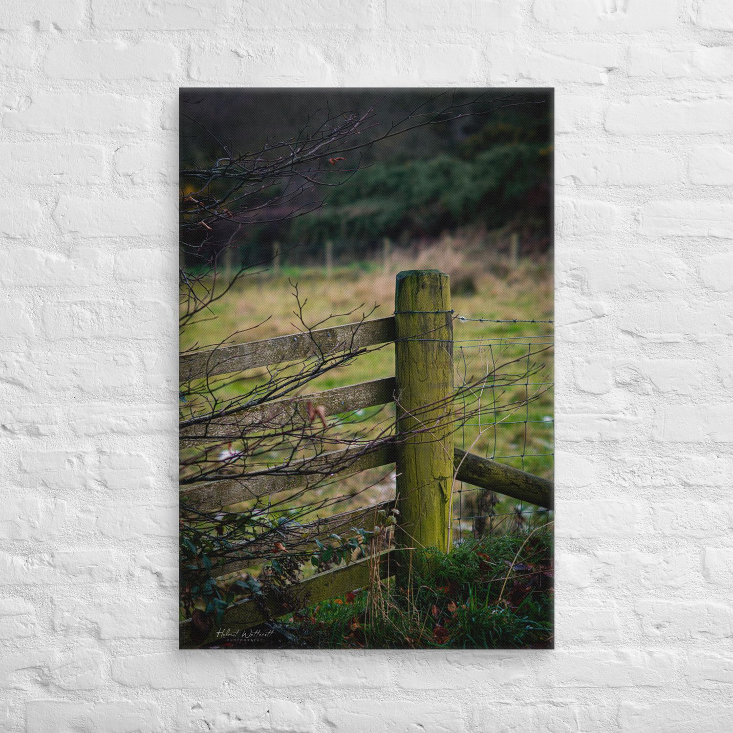 Fence post at Scottish farm wall art Canvas Print