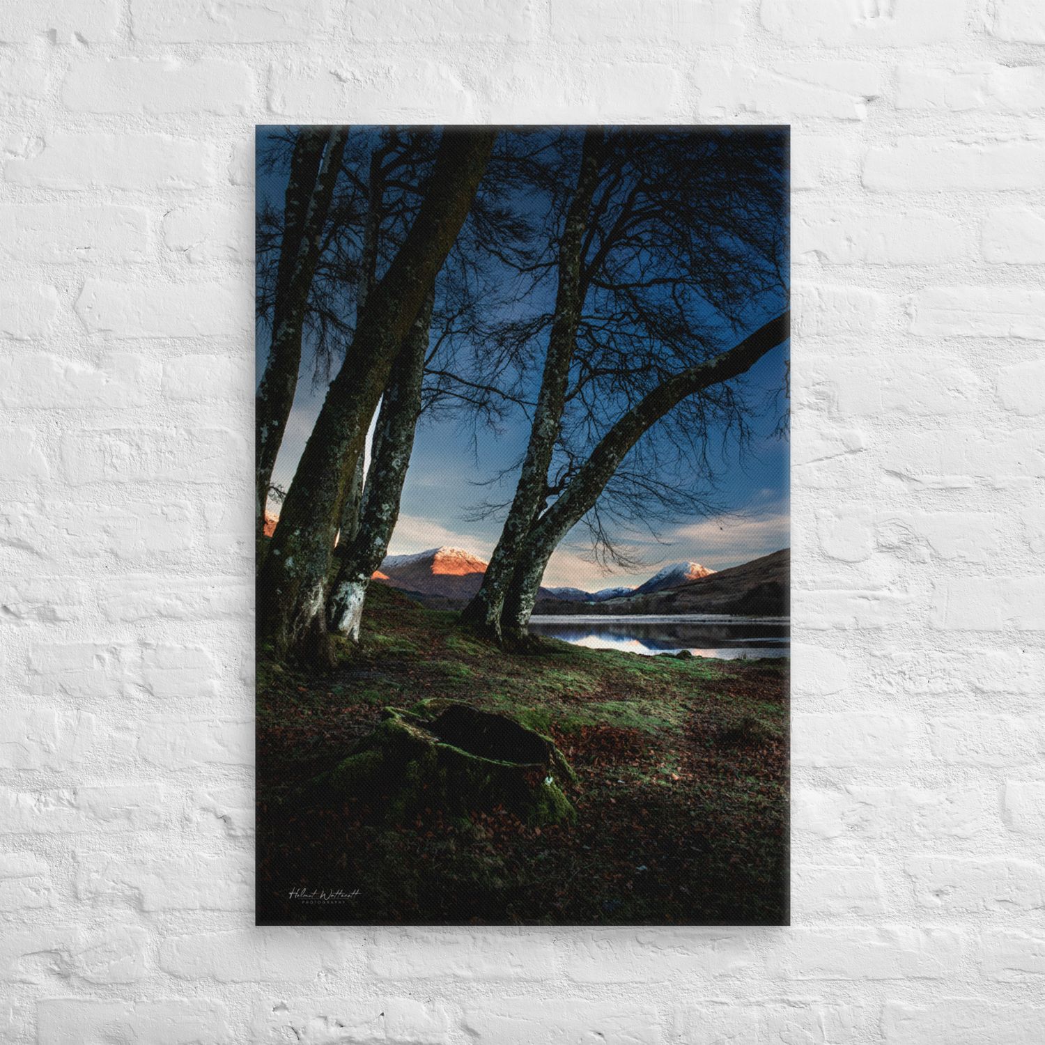 Trees and snow capped hills at Loch Awe, Scotland, wall art Canvas Print