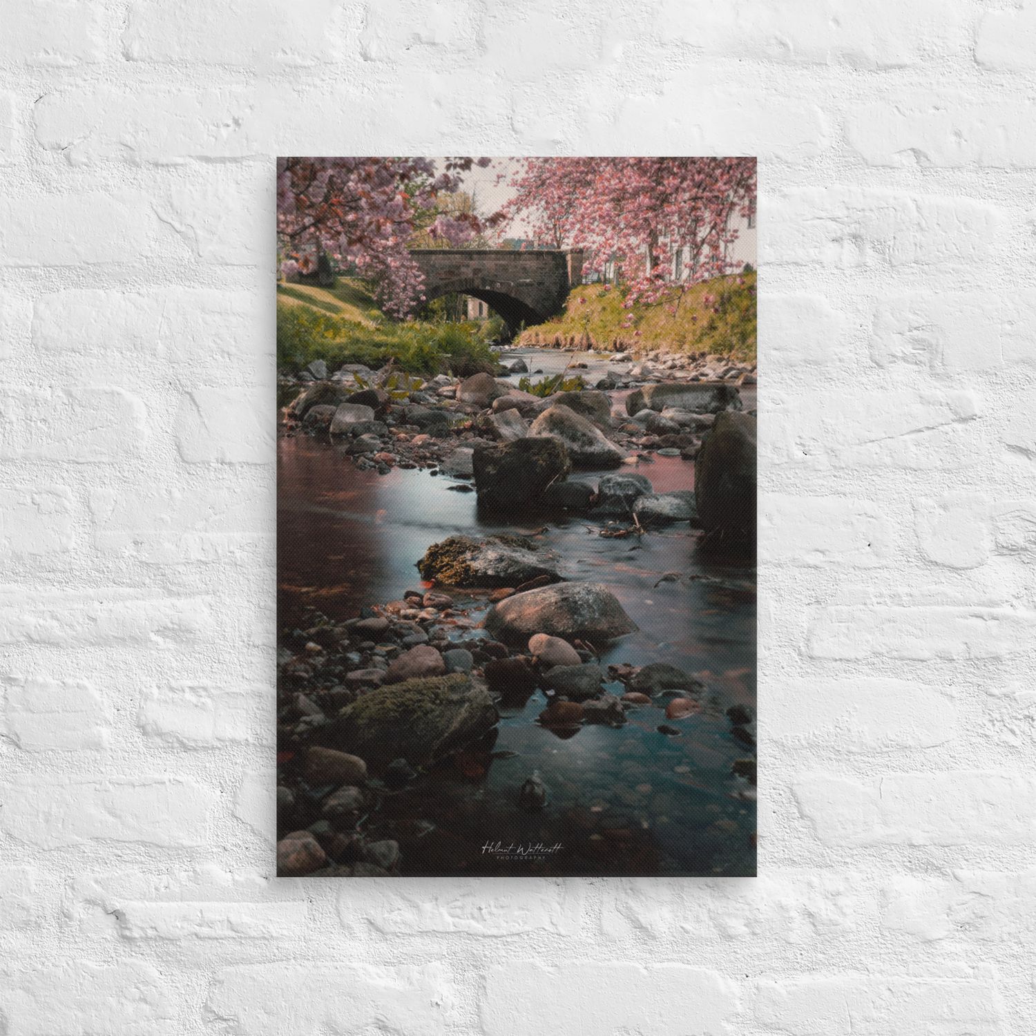 Cherry Blossoms, flowing water and old bridge in Dollar wall art Canvas Print