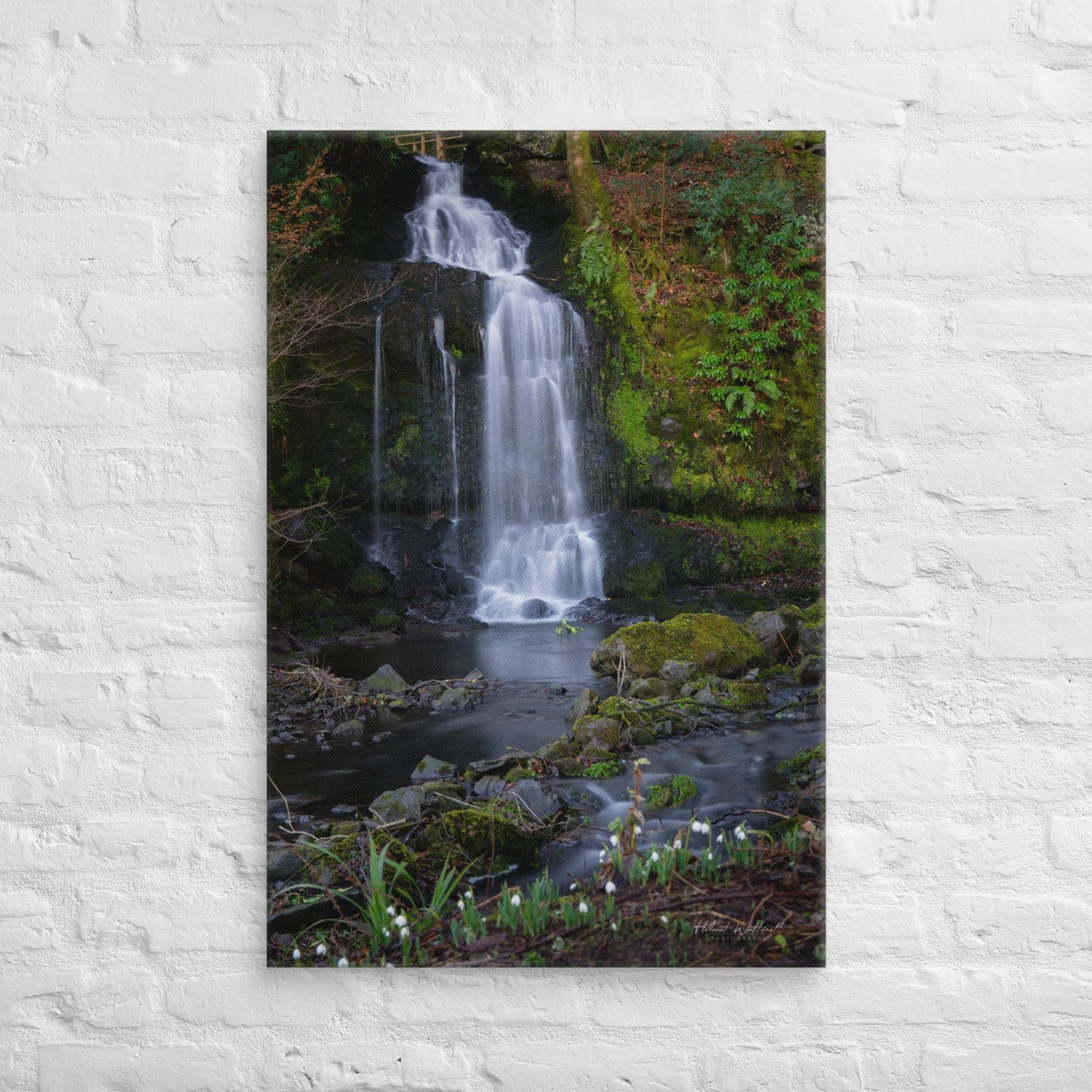 Waterfall at Finlaystone with Snowdrop flower wall art Canvas Print