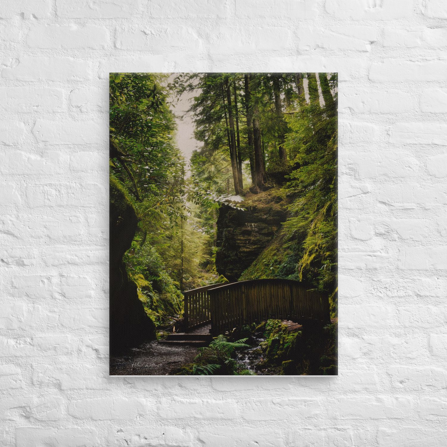 Pucks Glen with bridge Dunoon wall art Canvas Print