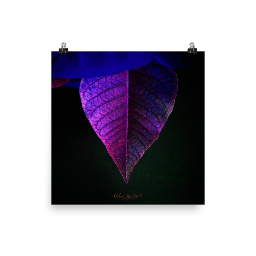 Purple Leaf Macro Wall Art Photo paper poster print