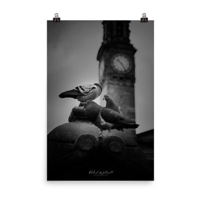 Pigeons in Paisley square wall art photo paper poster print