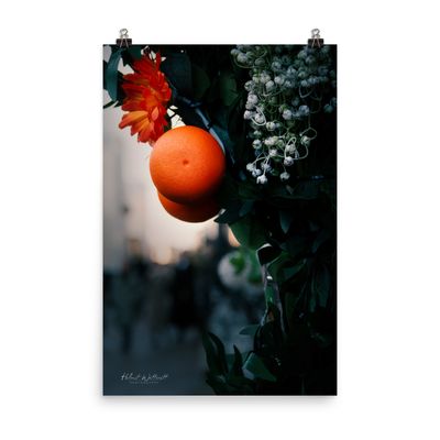 Orange tree door decoration wall art photo paper poster print