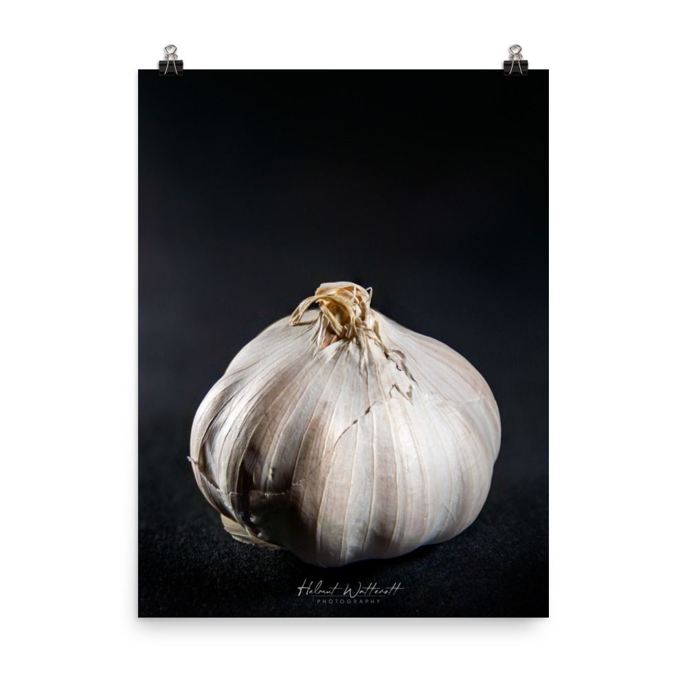 Focus stacked garlic clove wall art photo paper poster print