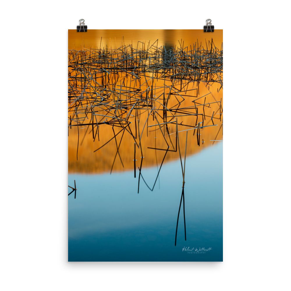 Reeds in water Loch Awe abstract wall art photo paper poster print
