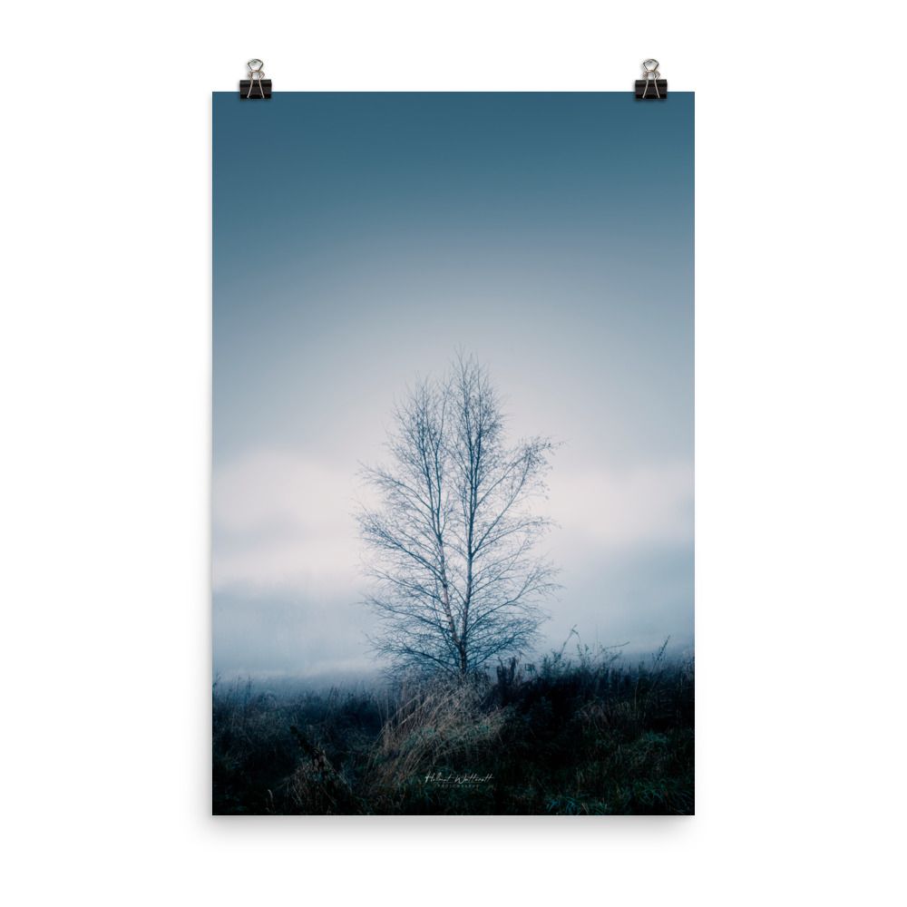 Bare tree in icy winter fog wall art photo paper poster print