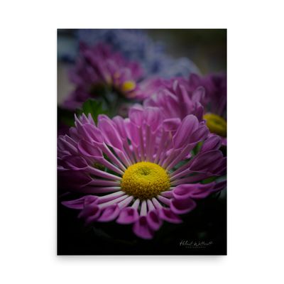 Spoon Chrysanthemums on wall art paper poster print