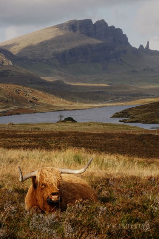 Scottish Landscape and Scenery Wall Art Photo Paper Poster Prints