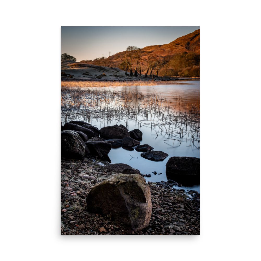 Reeds and Rocks at Loch Awe wall art photo paper poster print