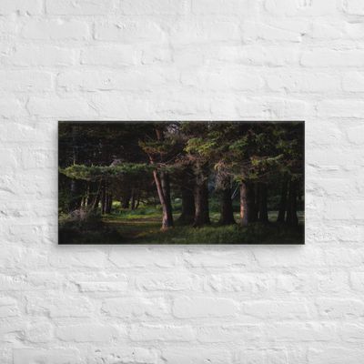 Trees at Sunset wall art Canvas print