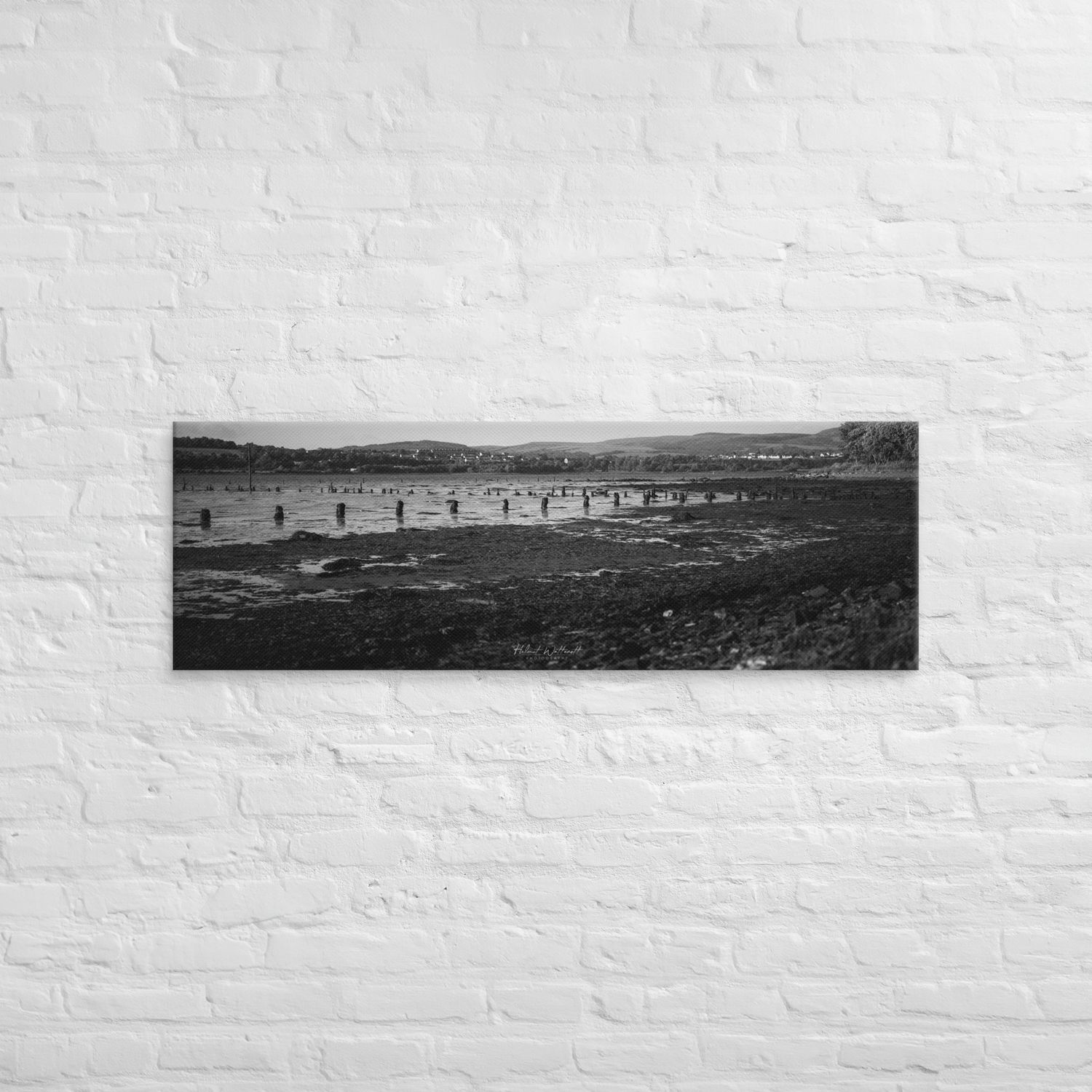 Timber Ponds Black and White wall art Canvas print