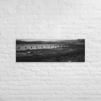 Timber Ponds Black and White wall art Canvas print