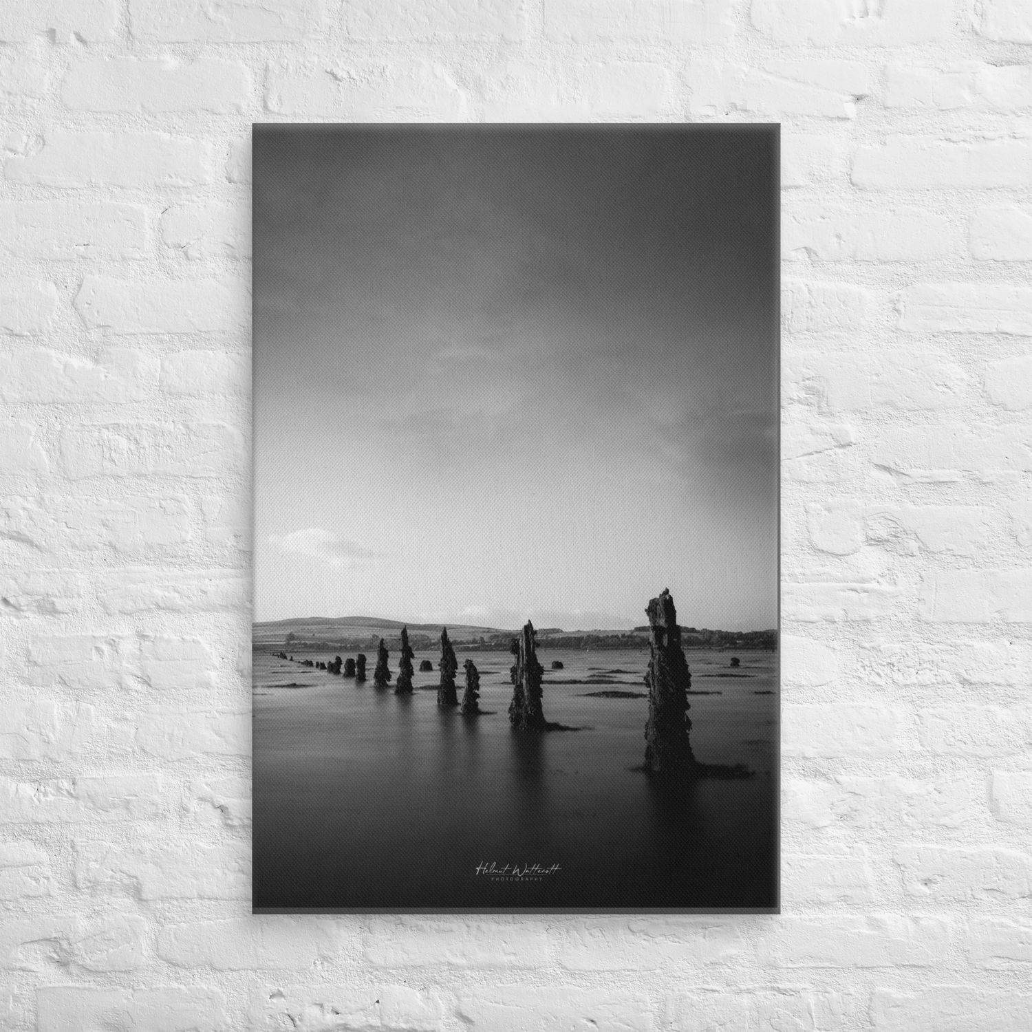 Timber Ponds Black and White wall art Canvas print