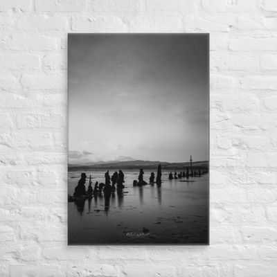 Timber Ponds River Clyde Black and White wall art Canvas print