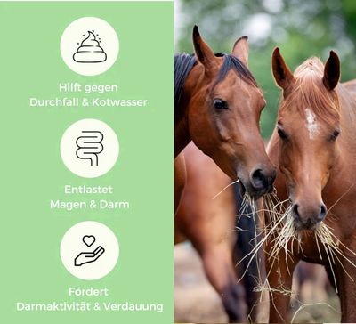 Original HORSEFEED BOX Natur-Klinoptilolith-Zeolith - Pferd &amp; Tiere