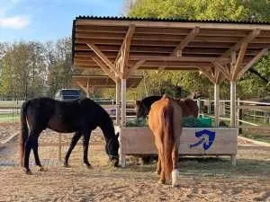 Original HAYMUNSTER DeLuxe Square Bale 2.2 DoubleBale